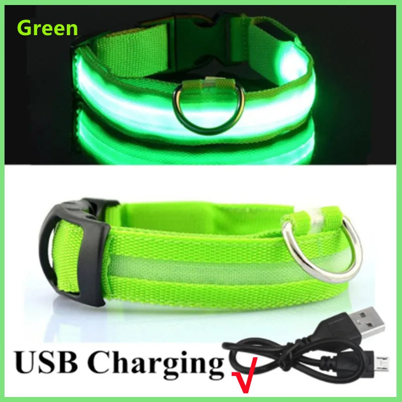 🐶 USB Rechargeable Luminous Dog Collar - Keep Your Pet Safe at Night!