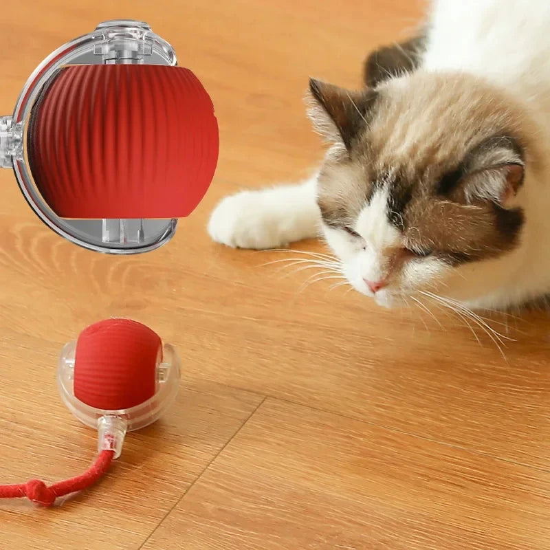 "Interactive Smart Rolling Cat Toy Ball – Rechargeable & Motion-Activated"