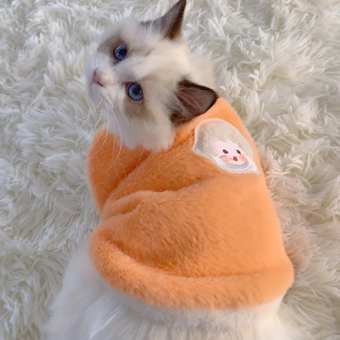 Cats Accessories Pets Warm Kittens Clothes