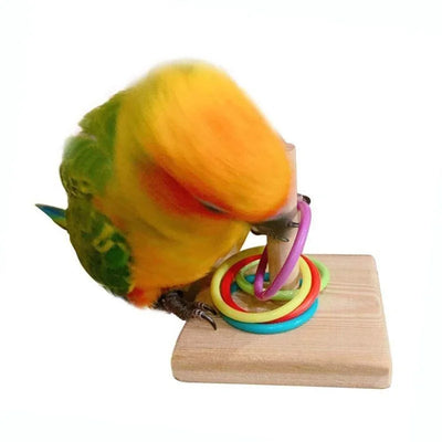 Bird Training Ring Toy – Interactive & Educational Toy for Parrots