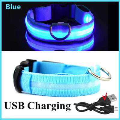 🐶 USB Rechargeable Luminous Dog Collar - Keep Your Pet Safe at Night!