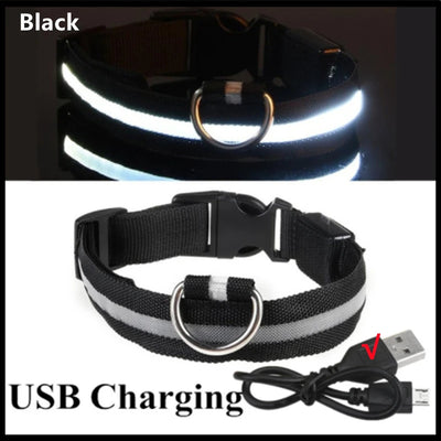 🐶 USB Rechargeable Luminous Dog Collar - Keep Your Pet Safe at Night!