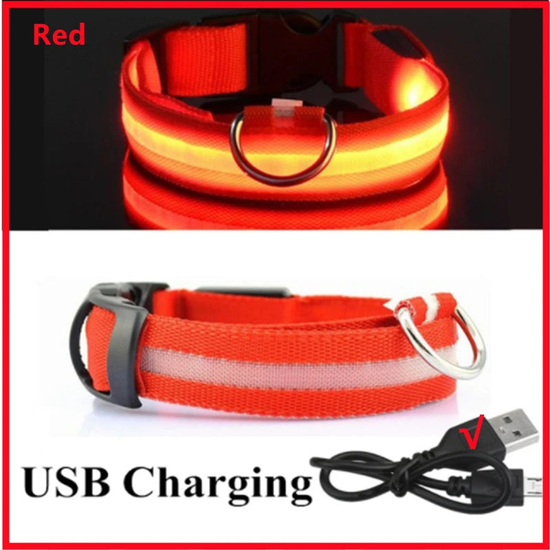 🐶 USB Rechargeable Luminous Dog Collar - Keep Your Pet Safe at Night!