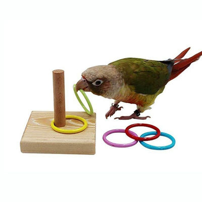 Bird Training Ring Toy – Interactive & Educational Toy for Parrots