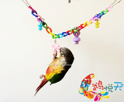 Pet Supplies Toy Parrot Toys Colorful Acrylic Bridge Cage Bird