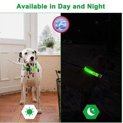 🐶 USB Rechargeable Luminous Dog Collar - Keep Your Pet Safe at Night!