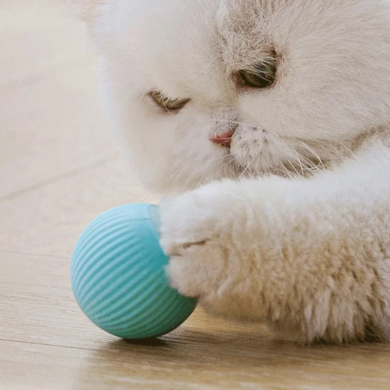 "Smart Interactive Cat Ball – A fun and engaging toy for cats! Made of durable ABS and silicone, this 4.3cm rechargeable ball keeps your feline entertained. Comes with a Type-C cable for easy charging. Perfect for curious kitties!"