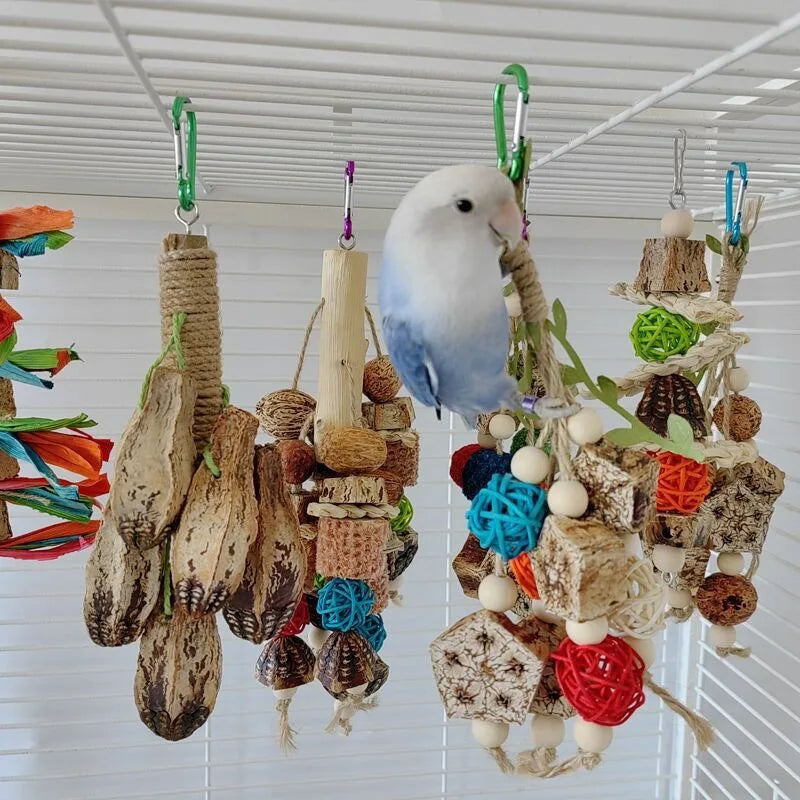 Pet Bird Parrot Toys 4 Stainless Steel