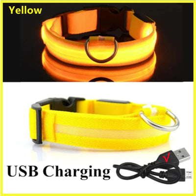 🐶 USB Rechargeable Luminous Dog Collar - Keep Your Pet Safe at Night!