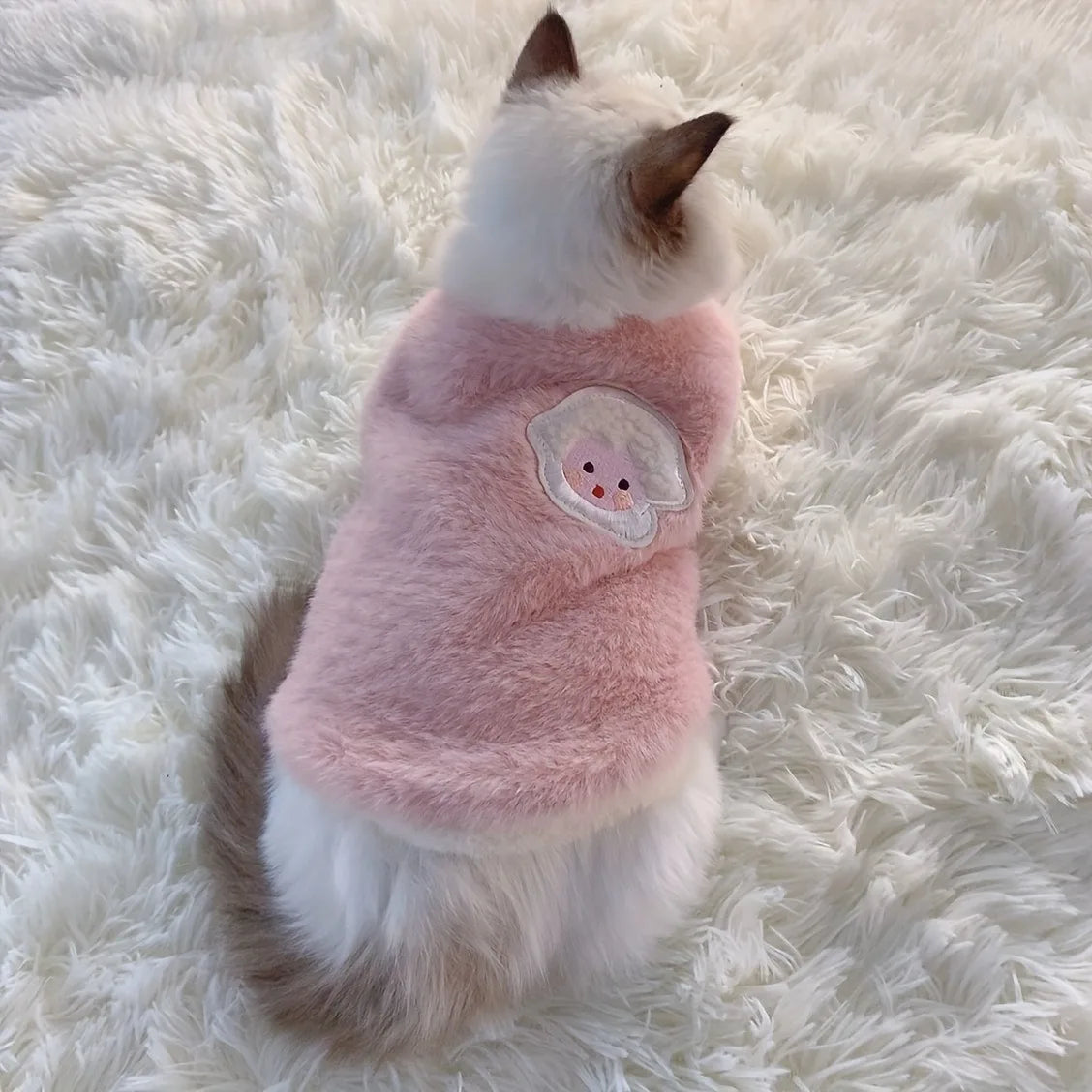 Cats Accessories Pets Warm Kittens Clothes