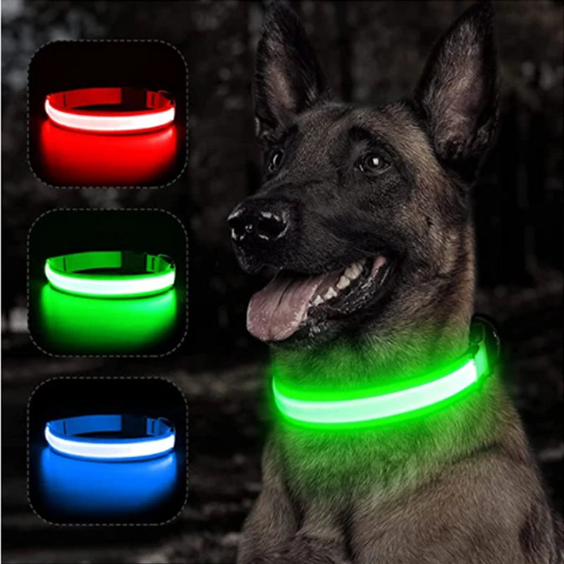 🐶 USB Rechargeable Luminous Dog Collar - Keep Your Pet Safe at Night!