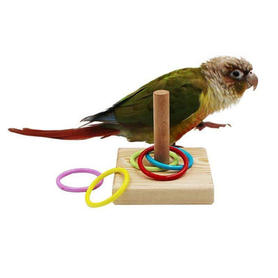 Bird Training Ring Toy – Interactive & Educational Toy for Parrots