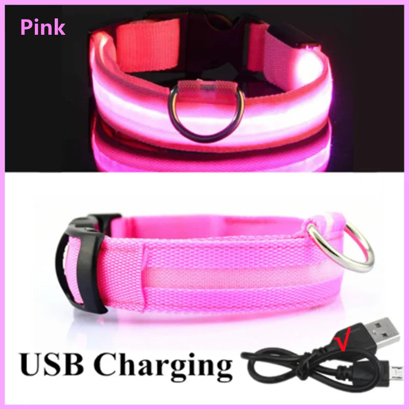 🐶 USB Rechargeable Luminous Dog Collar - Keep Your Pet Safe at Night!