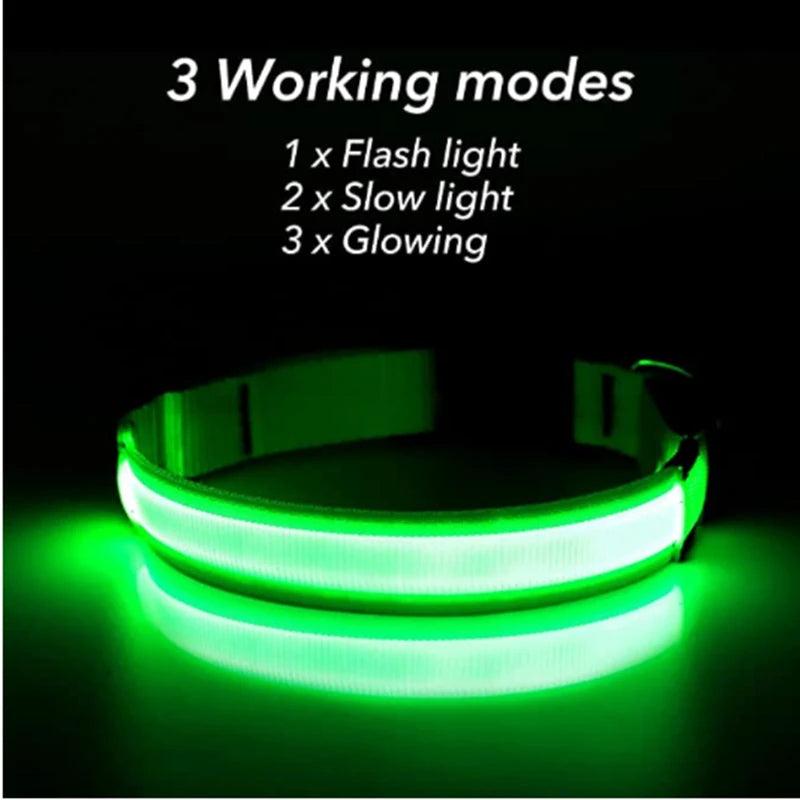 🐶 USB Rechargeable Luminous Dog Collar - Keep Your Pet Safe at Night!