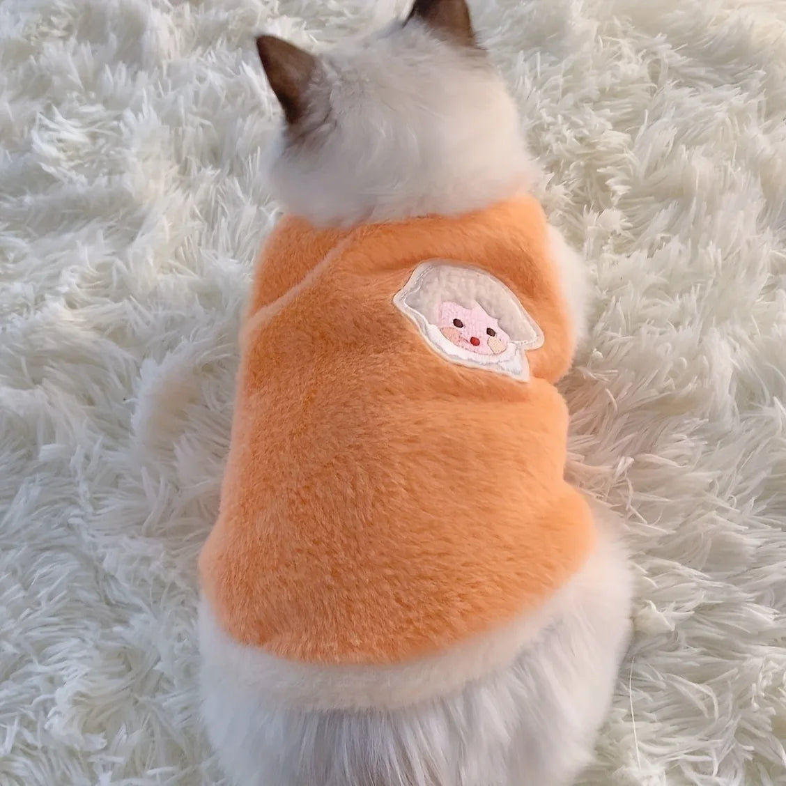 Cats Accessories Pets Warm Kittens Clothes