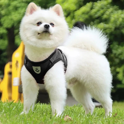 Breathable Pet Leash & Undershirt Harness – No-Pull, Escape-Proof Design