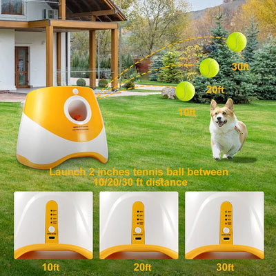 Automatic ball launcher dog thrower with adjustable distance settings from 10 to 30 feet for interactive fetch play