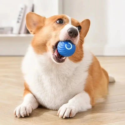 Smart Dog Toy Ball Electronic Interactive