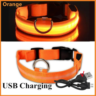 🐶 USB Rechargeable Luminous Dog Collar - Keep Your Pet Safe at Night!