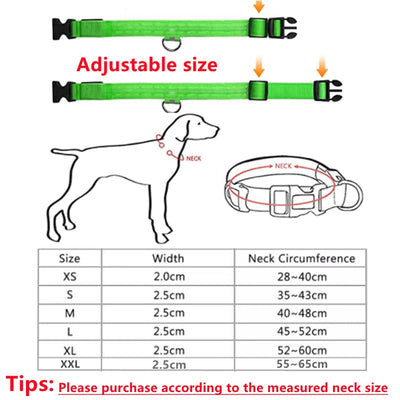 🐶 USB Rechargeable Luminous Dog Collar - Keep Your Pet Safe at Night!