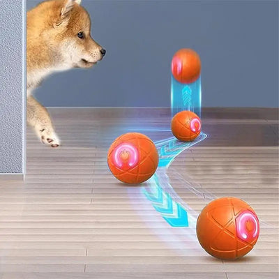 Smart interactive dog toy, automatic moving LED rolling ball for pets, designed to keep dogs entertained and active.